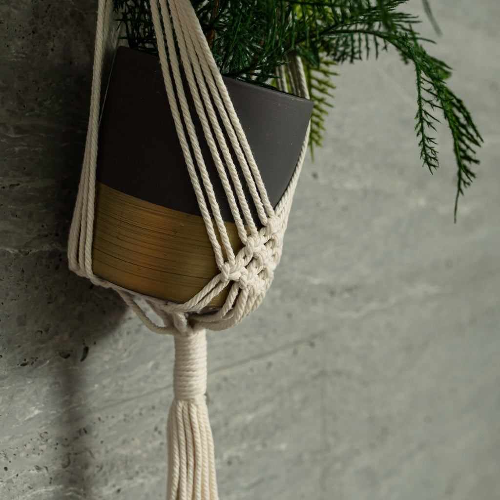 Wall-Mounted Knotted Plant Hanger