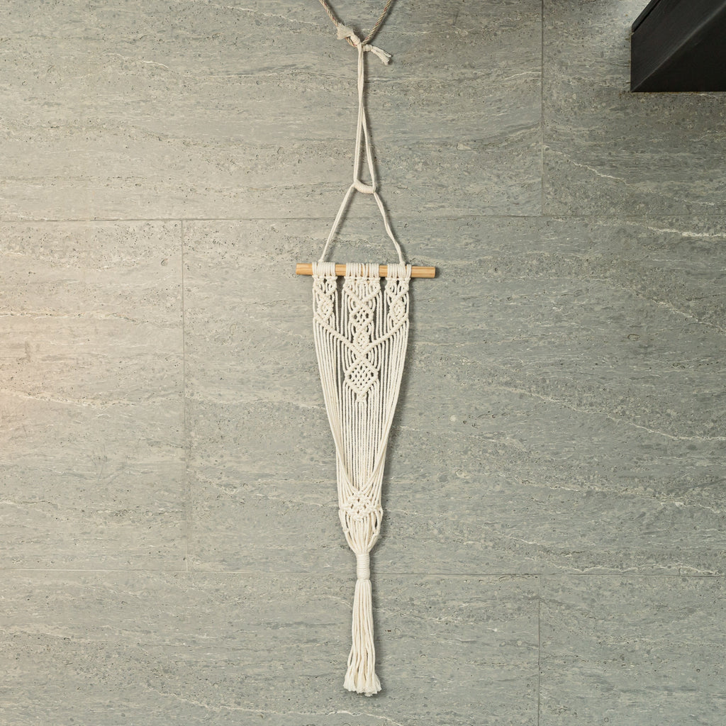 Wall-Mounted Knotted Plant Hanger