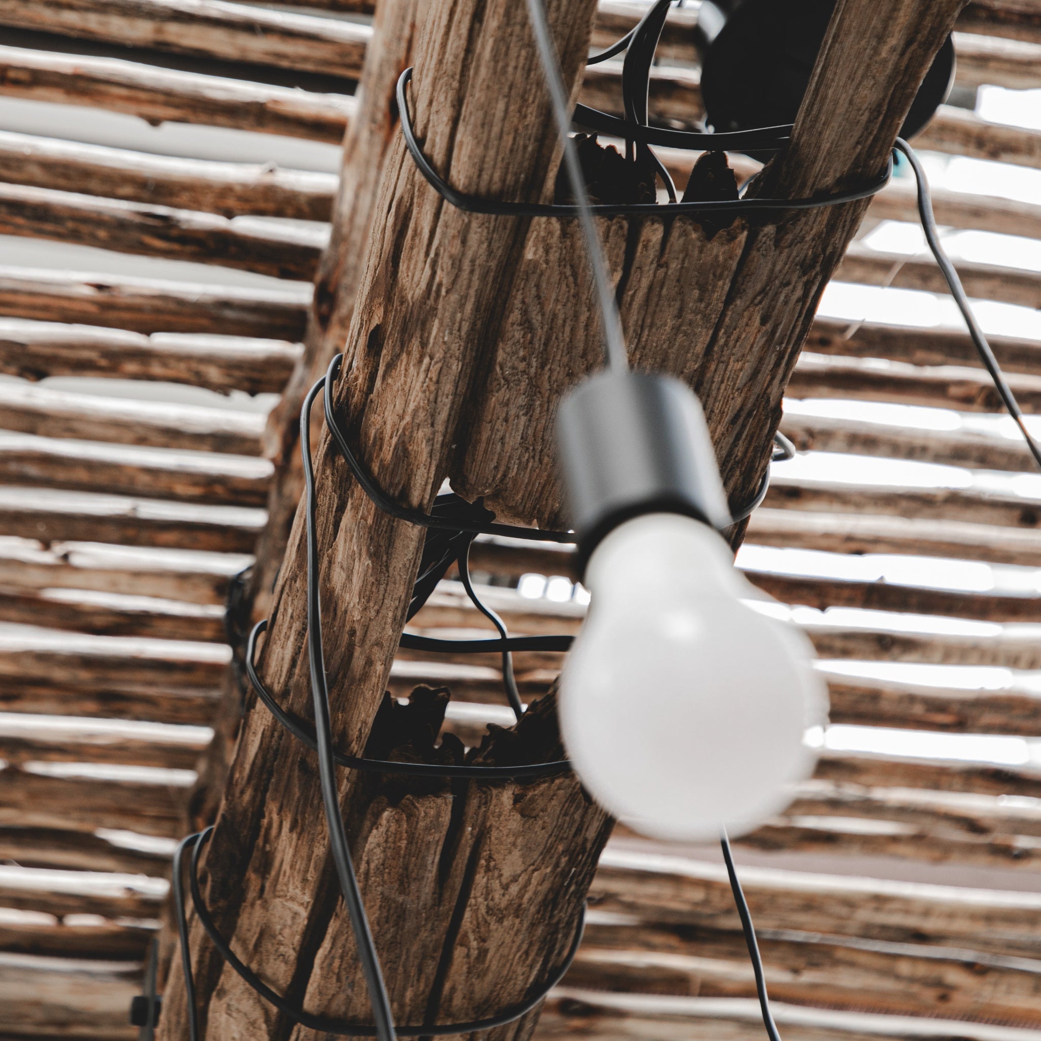 Amara Chandelier