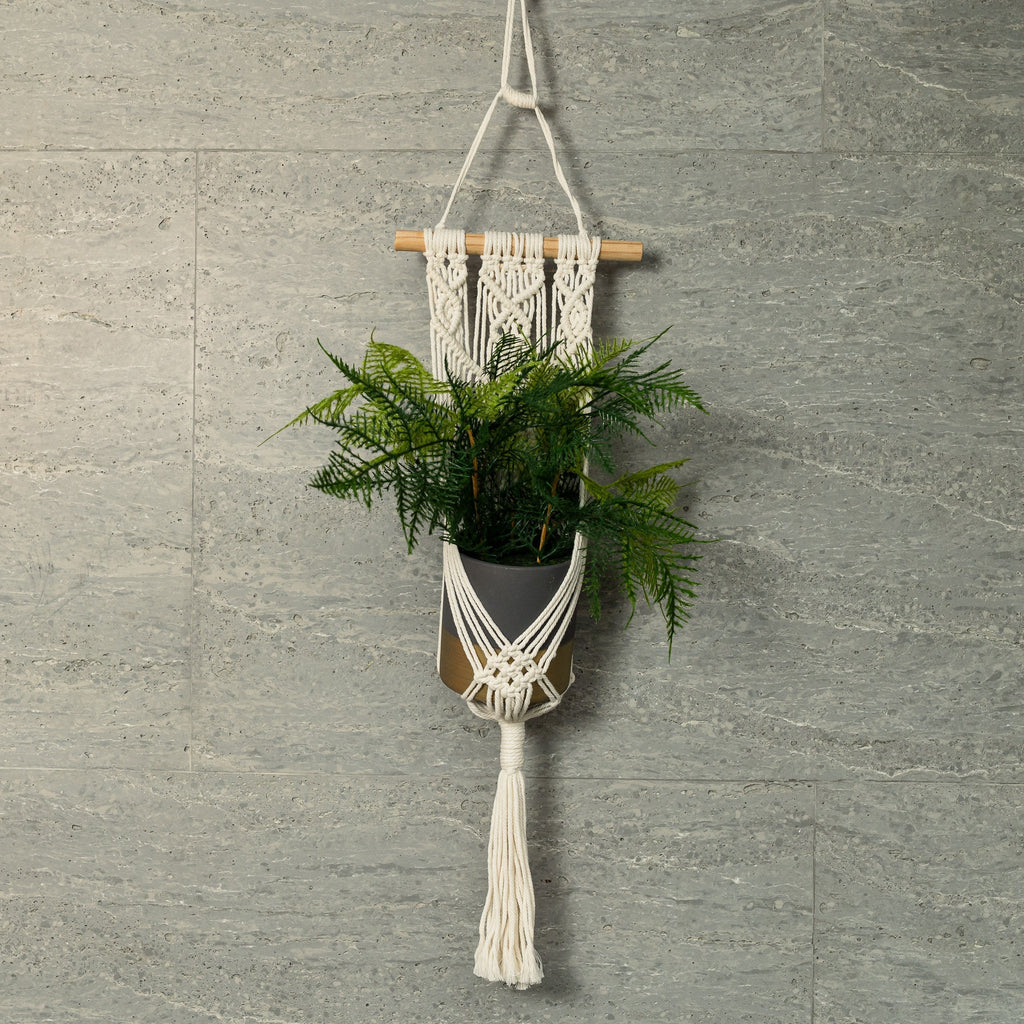 Wall-Mounted Knotted Plant Hanger