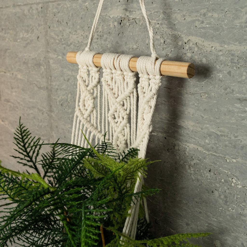 Wall-Mounted Knotted Plant Hanger