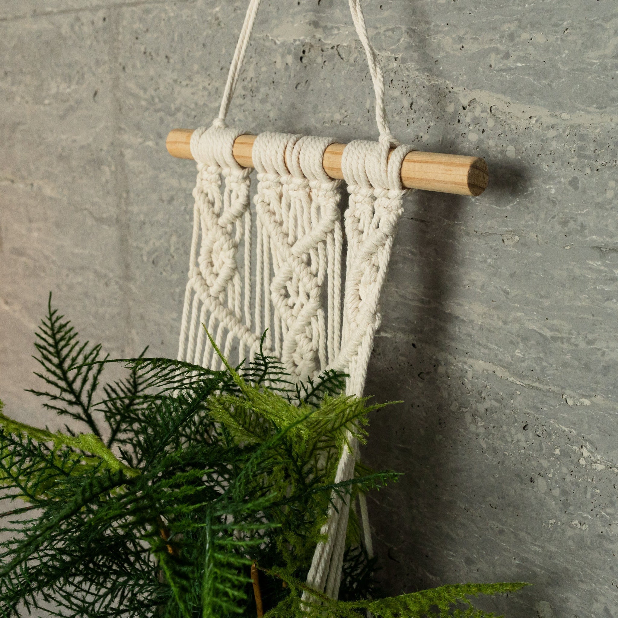 Wall-Mounted Knotted Plant Hanger