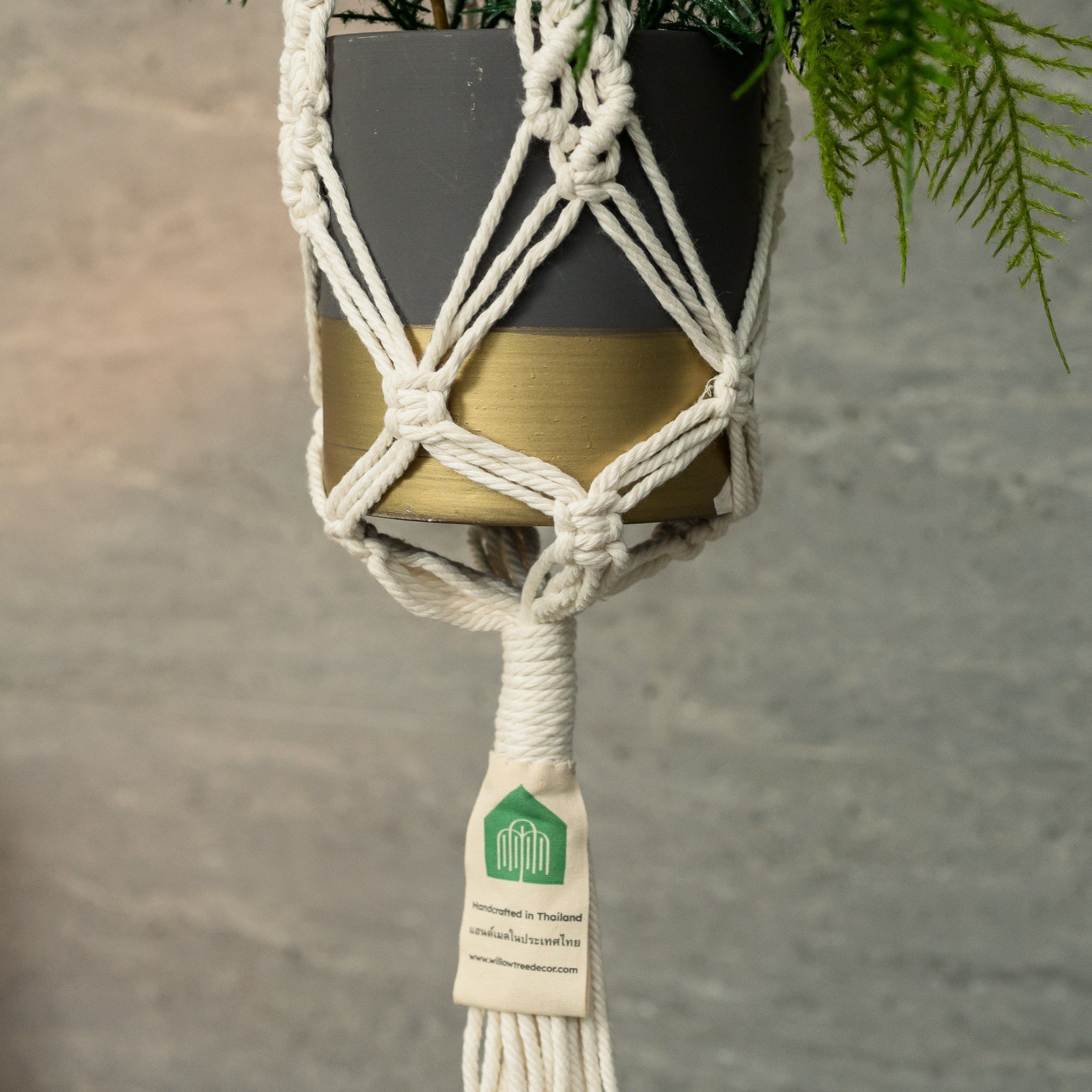 Knotted Plant Hanger