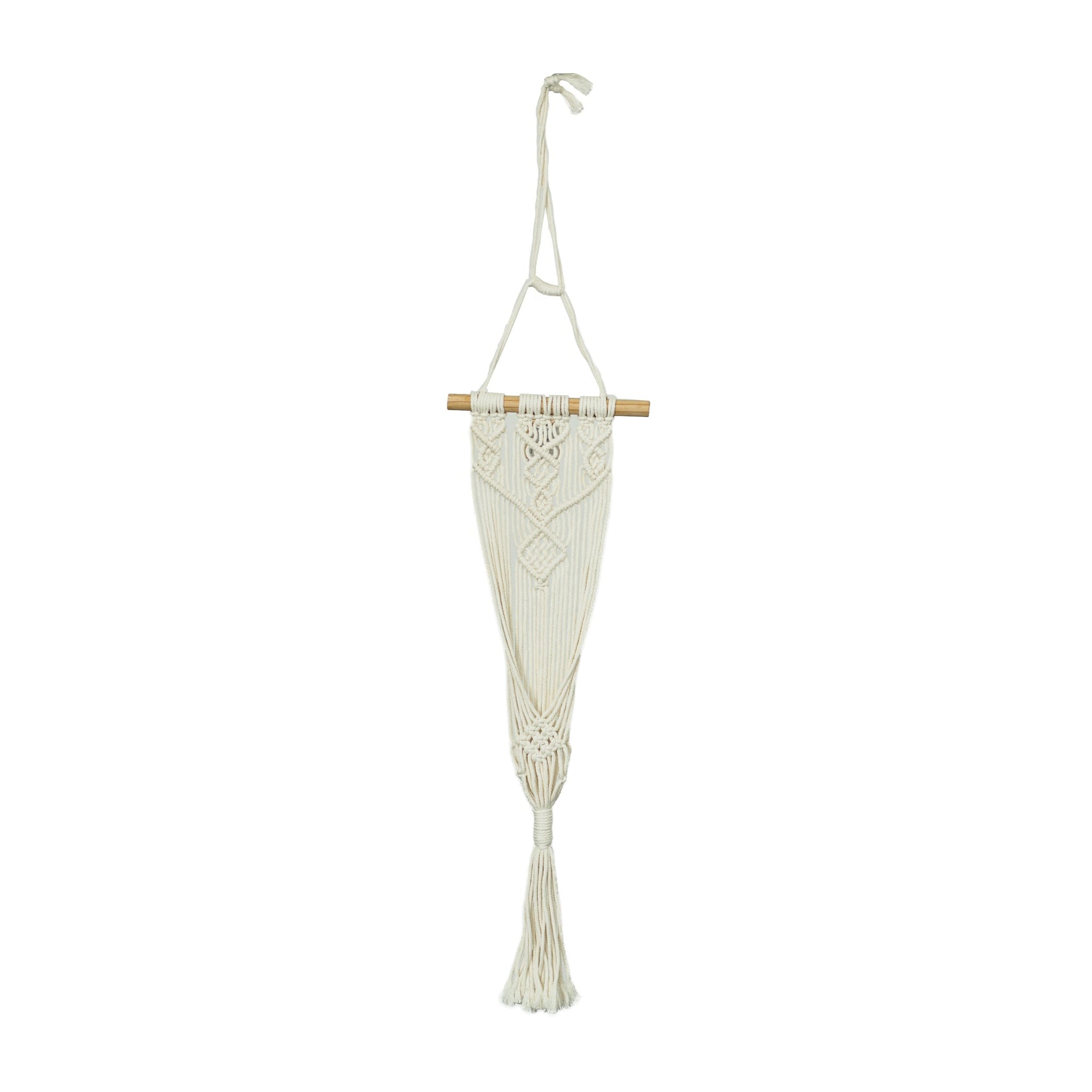 Wall-Mounted Knotted Plant Hanger