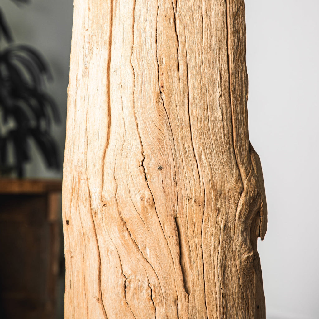Solene Floor Lamp