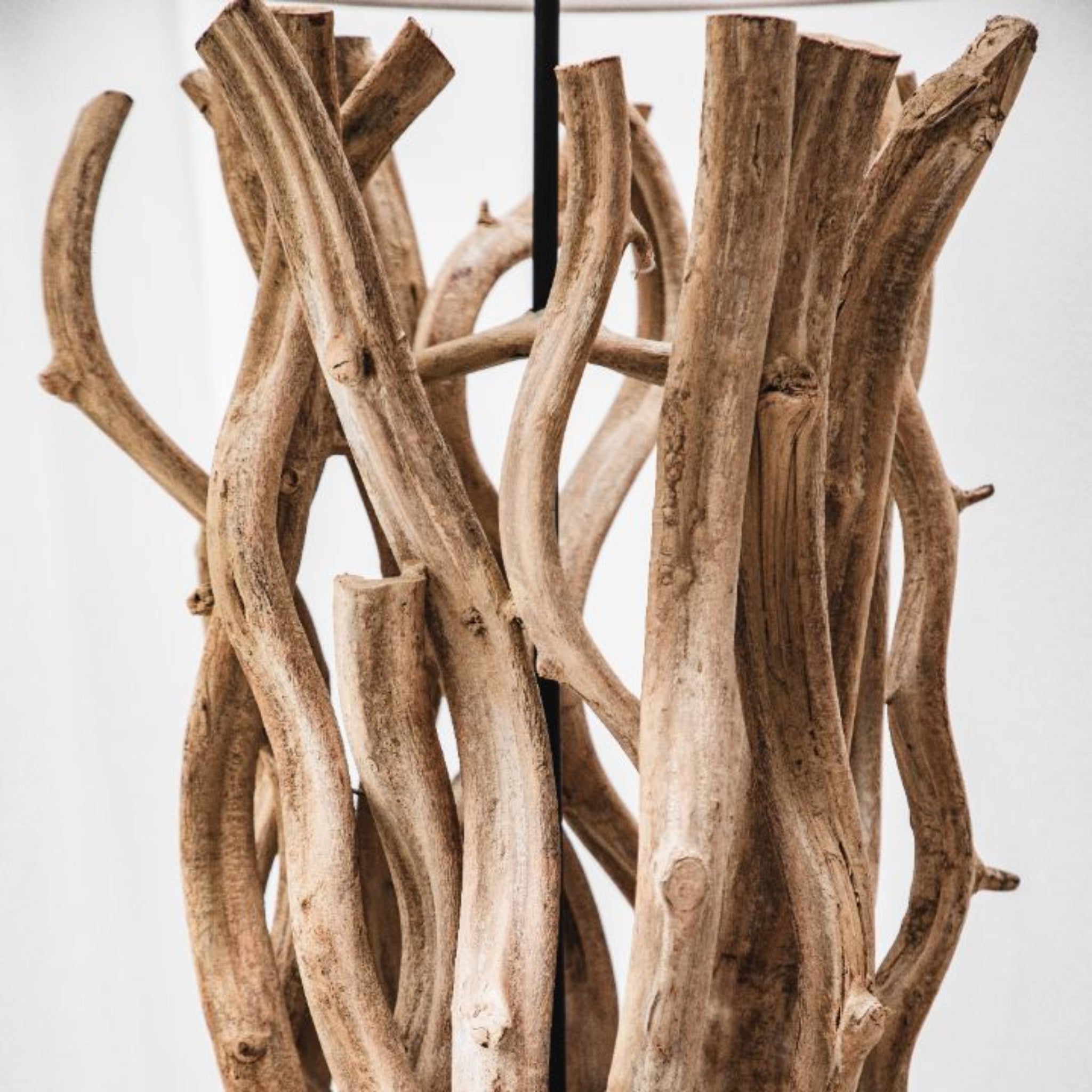 Selva Floor Lamp